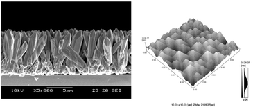 Graphical abstract: Growth of InN pillar crystal films by means of atmospheric pressure halide chemical vapor deposition