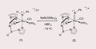 Graphical abstract: Synthesis of the RuIV amido complex [TpRu(CO)(PPh3)(NHPh)][OTf]2 (Tp = hydridotris(pyrazolyl)borate; OTf = trifluoromethanesulfonate) and deprotonation to form an octahedral and d4 imido complex: computational study of RuIV–imido bonding