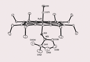 Graphical abstract: Nitrones are suitable ligands for heme models: X-ray crystal structure of the first metalloporphyrin nitrone complex