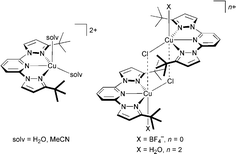 Graphical abstract: Copper(ii) complexes of 2,6-bis(3-tert-butylpyrazol-1-yl)pyridine