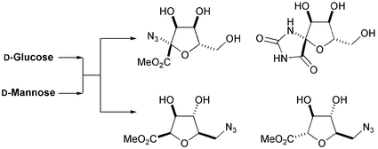 Graphical abstract: Complex tetrahydrofurans from carbohydrate lactones: THF amino acids as building blocks for unnatural biopolymers