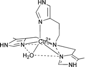 Graphical abstract: Metal ion co-ordination of a tripodal imidazole-derivative and its tridentate constituent: equilibrium and structural studies