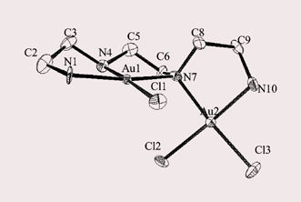 Graphical abstract: Au2trien: a dinuclear gold(iii) complex with unprecedented structural features