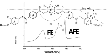 Graphical abstract: Ferroelectric and antiferroelectric “banana phases” of new fluorinated five-ring bent-core mesogens