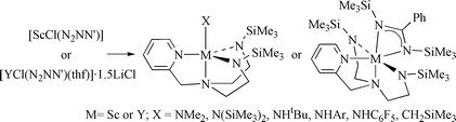 Graphical abstract: Scandium and yttrium complexes of the diamide–diamine donor ligand (2-C5H4N)CH2N(CH2CH2NSiMe3)2: chloride, primary and secondary amide, benzamidinate and alkyl functionalised derivatives