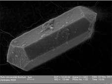 Graphical abstract: Calcium sulfate hemihydrate in statoliths of deep-sea medusae