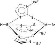 Graphical abstract: Bulky tris(mercaptoimidazolyl)borates: synthesis and molecular structures of the Group 12 metal complexes [TmtBu]MBr (M = Zn, Cd, Hg)