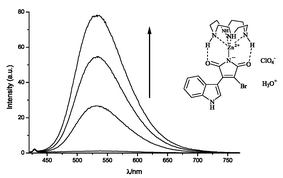 Graphical abstract: Strong fluorescence enhancement of 2-bromo-3-(1H-indol-3-yl)maleimide upon coordination to a Lewis-acidic metal complex