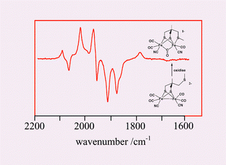 Graphical abstract: Transient FTIR spectroelectrochemical and stopped-flow detection of a mixed valence {Fe(i)–Fe(ii)} bridging carbonyl intermediate with structural elements and spectroscopic characteristics of the di-iron sub-site of all-iron hydrogenase