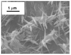 Graphical abstract: Thin films of hydroxy-TEMPO-substituted TTF and of its charge-transfer complex with TCNQ