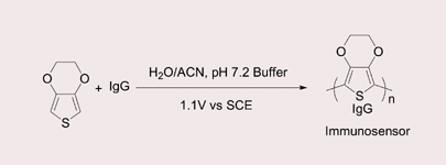 Graphical abstract: Conductimetric immunosensor based on poly(3,4-ethylenedioxythiophene)