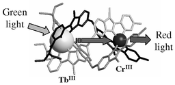 Graphical abstract: A kinetically inert and optically active CrIII partner in thermodynamically self-assembled heterodimetallic non-covalent d–f podates