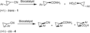 Graphical abstract: A novel approach to enantiopure cyclopropane compounds from biotransformation of nitriles