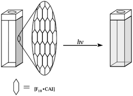 Graphical abstract: Phototriggered delivery of hydrophobic carbonic anhydrase inhibitors