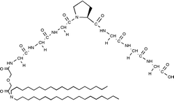 Graphical abstract: A hydrocarbon anchored peptide that forms a chloride-selective channel in liposomes