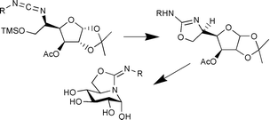 Graphical abstract: Castanospermine–trehazolin hybrids: a new family of glycomimetics with tuneable glycosidase inhibitory properties