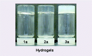 Graphical abstract: Novel family of low molecular weight hydrogelators based on L-lysine derivatives