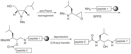 Graphical abstract: Efficient stereoselective synthesis of peptidomimetics containing hydroxyethylamine dipeptide isosteres utilizing the aza-Payne rearrangement and O, N-acyl transfer reactions