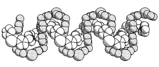 Graphical abstract: Self-assembly of a snake-like blue photoluminescent coordination polymer from 4,4′-bis(imidazol-1-ylmethyl)biphenyl and zinc acetate