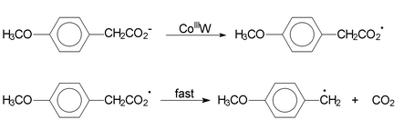 Graphical abstract: Oxidative decarboxylation of 4-methoxyphenylacetic acid induced by potassium 12-tungstocobalt(iii)ate. The role of intramolecular electron transfer