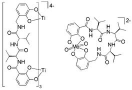 Graphical abstract: The fixation of linear versus loop-type peptidic structures by metal coordination: the coordination chemistry of Val–Val- and Val–Val–Val-bridged dicatechol ligands