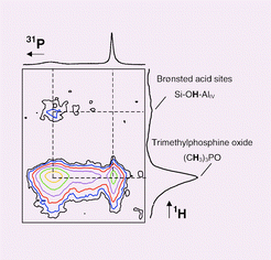 Graphical abstract: Studies of surfaces through molecular probe adsorption and solid-state NMR