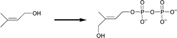 Graphical abstract: Synthesis of (2E)-4-hydroxy-3-methylbut-2-enyl diphosphate, a key intermediate in the biosynthesis of isoprenoids