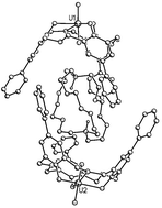 Graphical abstract: Supramolecular assemblies from uranyl ion complexes of hexahomotrioxacalix[3]arenes and protonated [2.2.2]cryptand