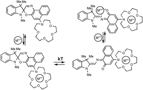 Graphical abstract: Effect of metal cations on the photochromic properties of spironaphthoxazines conjugated with aza-15(18)-crown-5(6) ethers