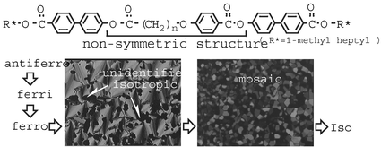 Graphical abstract: Novel non-symmetric chiral twin liquid crystals possessing two identical chiral moieties at both peripheral ends: highly chirality-sensitive phases appeared between smectic and isotropic liquid phases