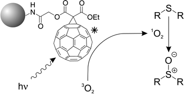 Graphical abstract: Polysiloxane-supported fullerene derivative as a new heterogeneous sensitiser for the selective photooxidation of sulfides to sulfoxides by 1O2