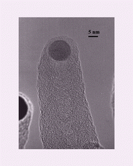 Graphical abstract: Carbon nanohorns grown from ruthenium nanoparticles