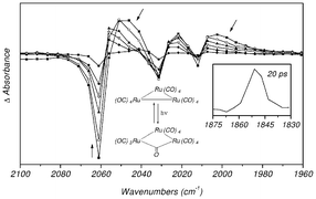 Graphical abstract: First direct observation of a CO-bridged primary photoproduct of [Ru3(CO)12] by picosecond time-resolved IR spectroscopy