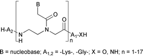 Graphical abstract: Synthesis and analysis of peptide nucleic acid oligomers using Fmoc/acyl-protected monomers