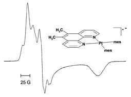 Graphical abstract: Organometallic platinum(ii) complexes of methyl-substituted phenanthrolines