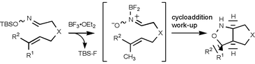 Graphical abstract: BF3·OEt2-mediated cycloaddition of O-tert-butyldimethylsilyloximes having olefin moieties: intramolecular cycloaddition of N-borano-nitrones