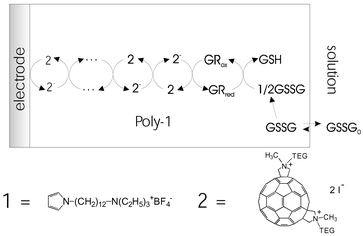 Graphical abstract: A glutathione amperometric biosensor based on an amphiphilic fullerene redox mediator immobilised within an amphiphilic polypyrrole film