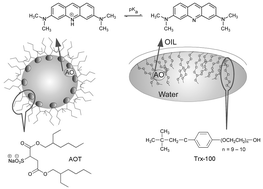 Graphical abstract: The aqueous environment in AOT and Triton X-100 (w/o) microemulsions probed by fluorescence