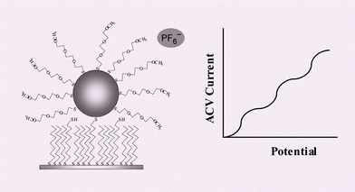Graphical abstract: Ion-induced discrete charging of immobilized water-soluble gold nanoclusters