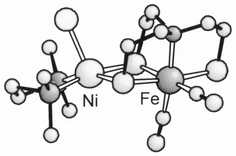 Graphical abstract: Nickel–iron–sulfur complexes: approaching structural analogues of the active sites of NiFe-hydrogenase and carbon monoxide dehydrogenase/acetyl-CoA synthase