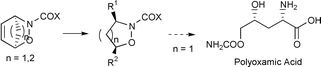 Graphical abstract: Stereoselective cycloadditions of chiral acyl-nitroso compounds; selective reactions of ring-cleaved cycloadducts leading to a new approach to polyoxamic acid