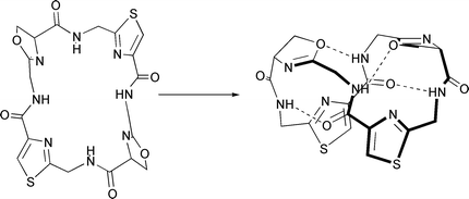 Graphical abstract: Conformational change in the thiazole and oxazoline containing cyclic octapeptides, the patellamides. Part 2. Solvent dependent conformational change