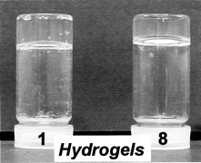 Graphical abstract: New low-molecular-weight hydrogelators based on L-lysine with positively charged pendant chain