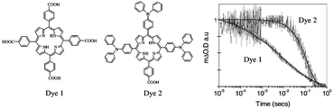 Graphical abstract: Molecular control of recombination dynamics in dye sensitised nanocrystalline TiO2 films