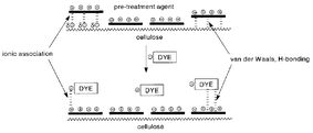 Graphical abstract: A greener approach to cotton dyeings. Part 2: application of 1∶2 metal complex acid dyes