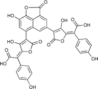 Graphical abstract: Allosteric effects in norbadione A. A clue for the accumulation process of 137Cs in mushrooms?