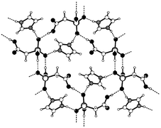 Graphical abstract: Ring templated nanochannel architecture of imidazolium phosphonoacetate