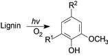 Graphical abstract: Singlet oxygen mediated degradation of lignin—isolation of oxidation products from steam-exploded lignin from pine