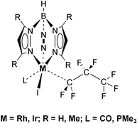 Graphical abstract: Synthesis and structural studies of perfluoroalkyl-rhodium and iridium(iii) compounds containing tris(pyrazolyl)borate ligands