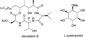 Graphical abstract: Total synthesis of (–)-stevastelin B